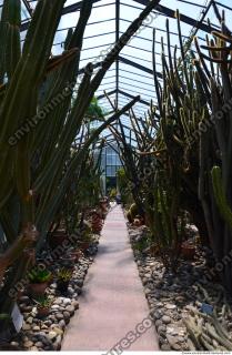 Photo Texture of Nature